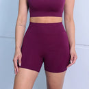 Shorts DreamFit – Toque Macio, Modelagem Perfeita